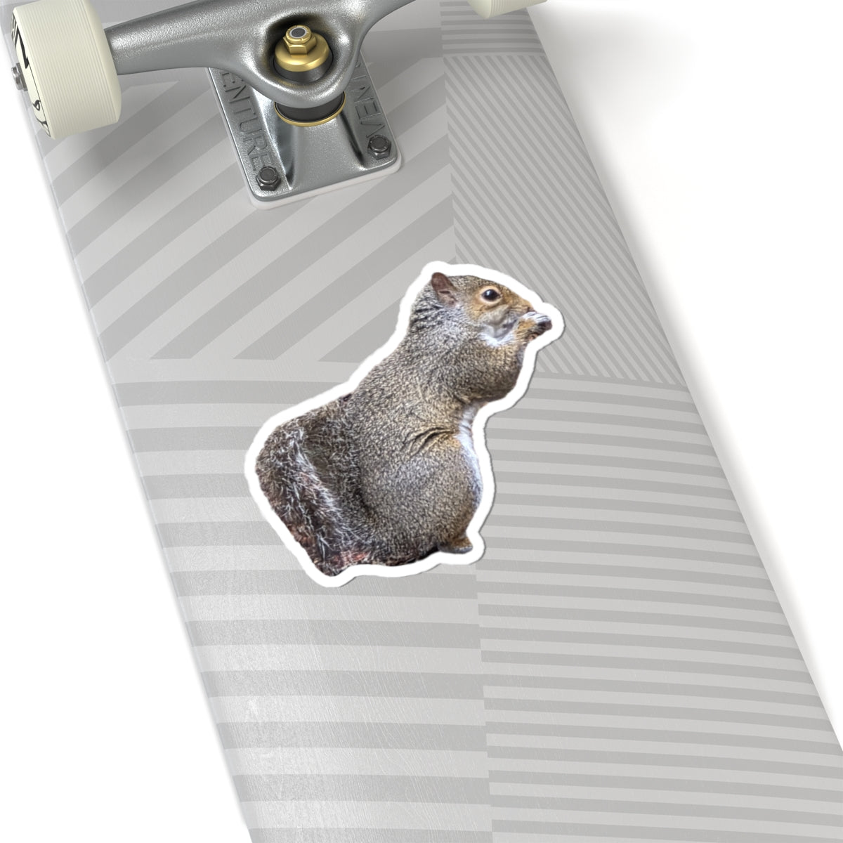 Squirrel Sticker