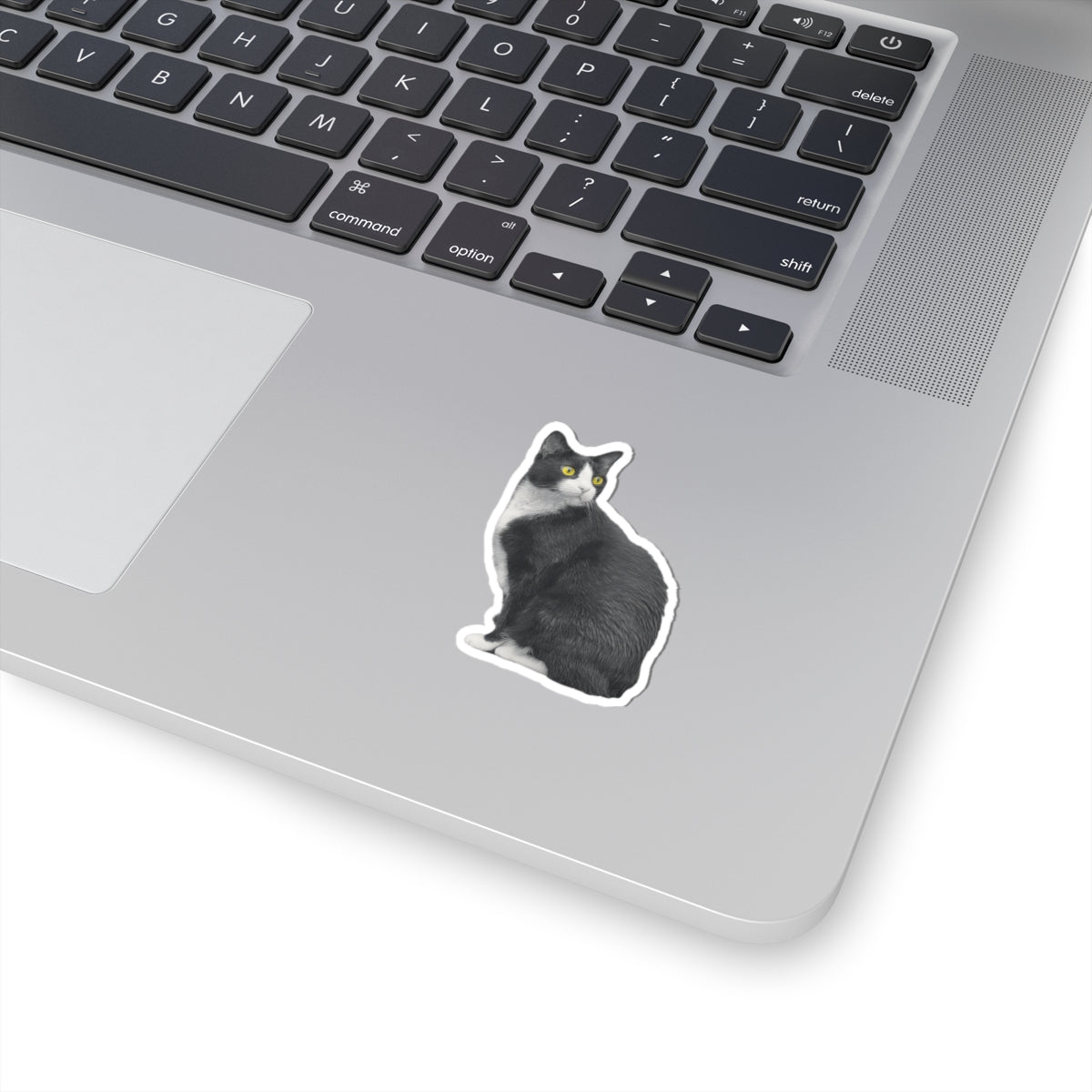 Sitting Tuxedo Cat Sticker