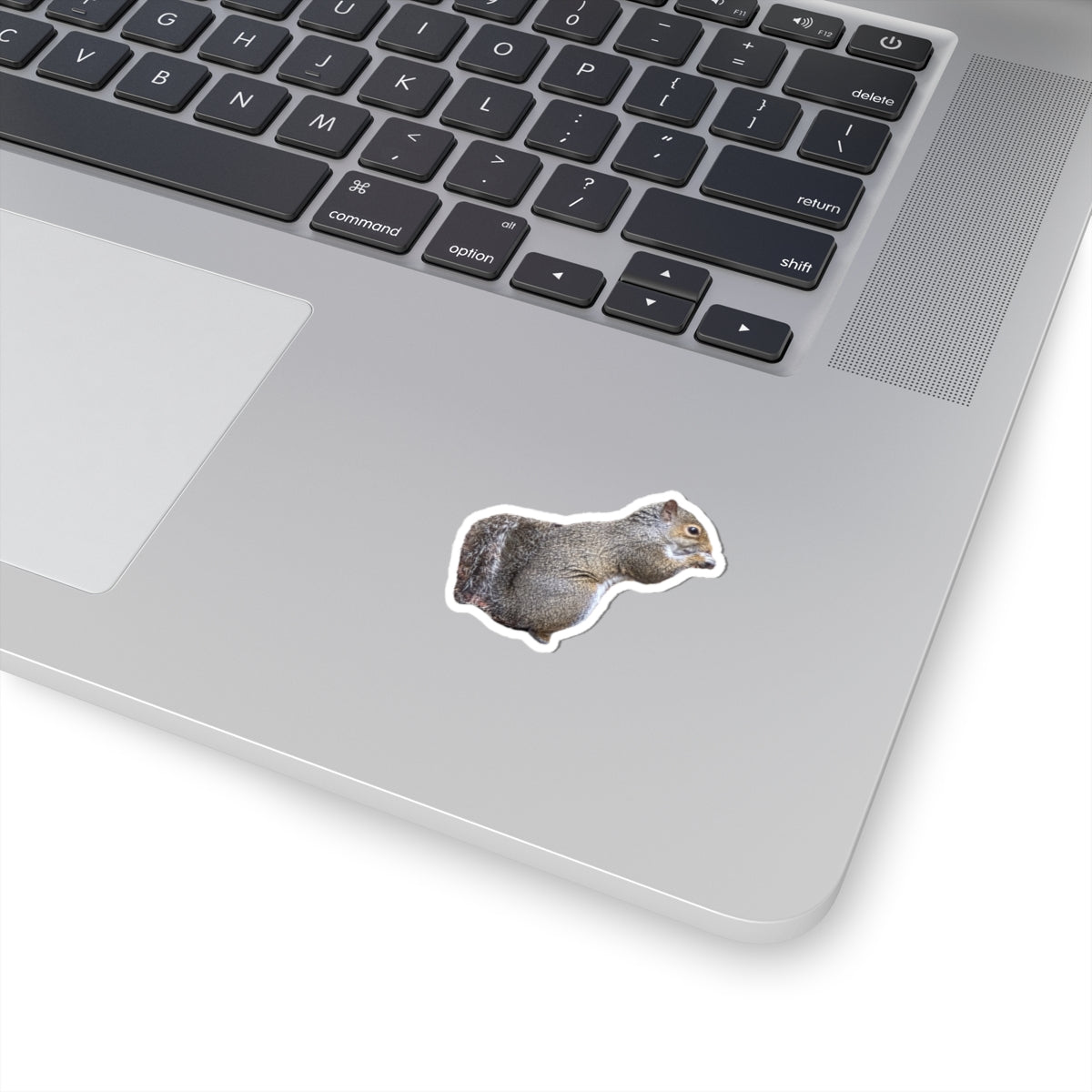 Squirrel Sticker
