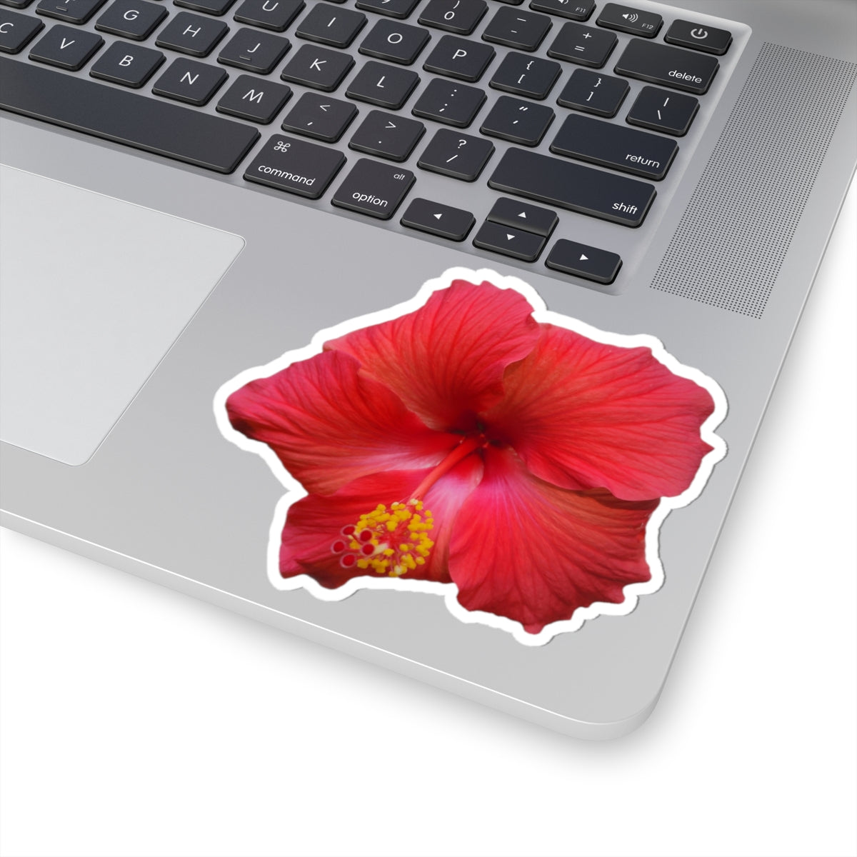 Hibiscus Sticker