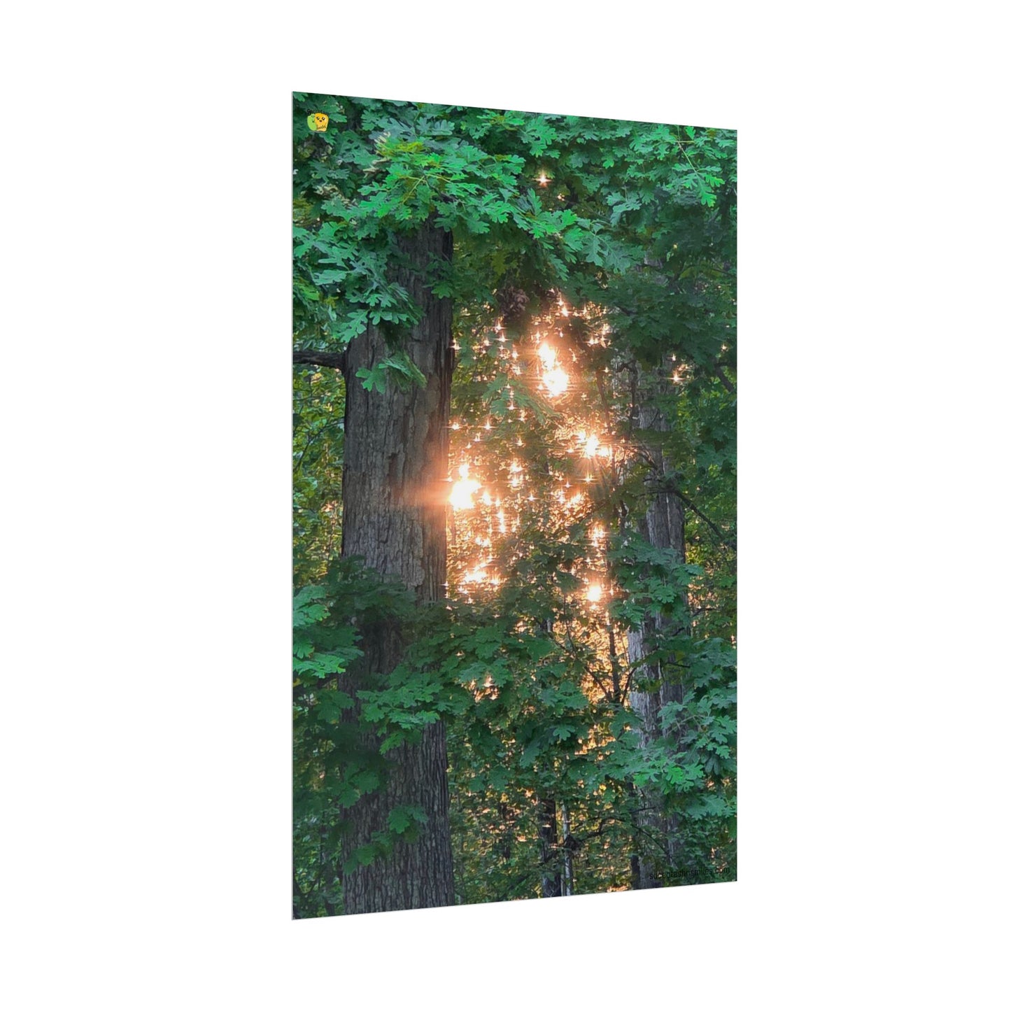 Forest Sunset Glow Poster