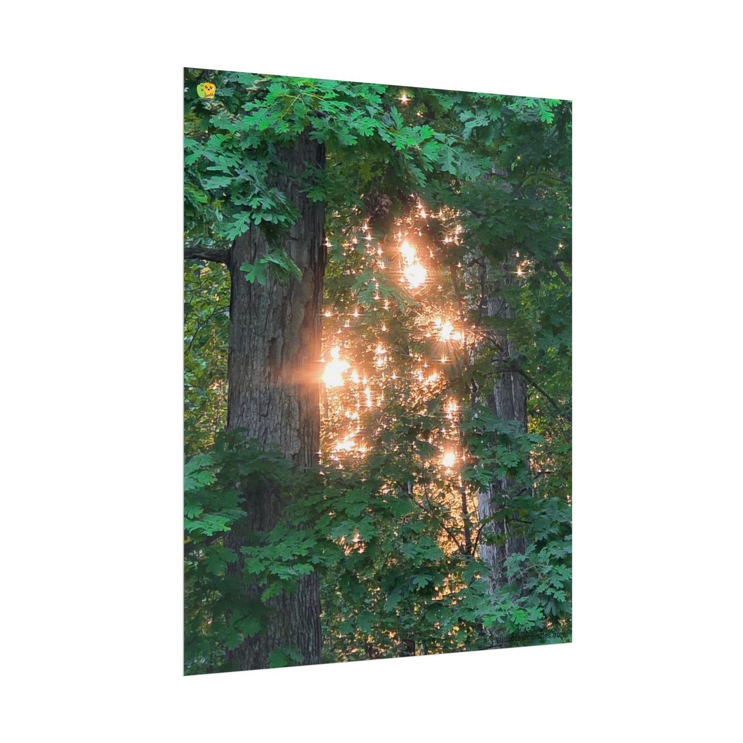 Forest Sunset Glow Poster