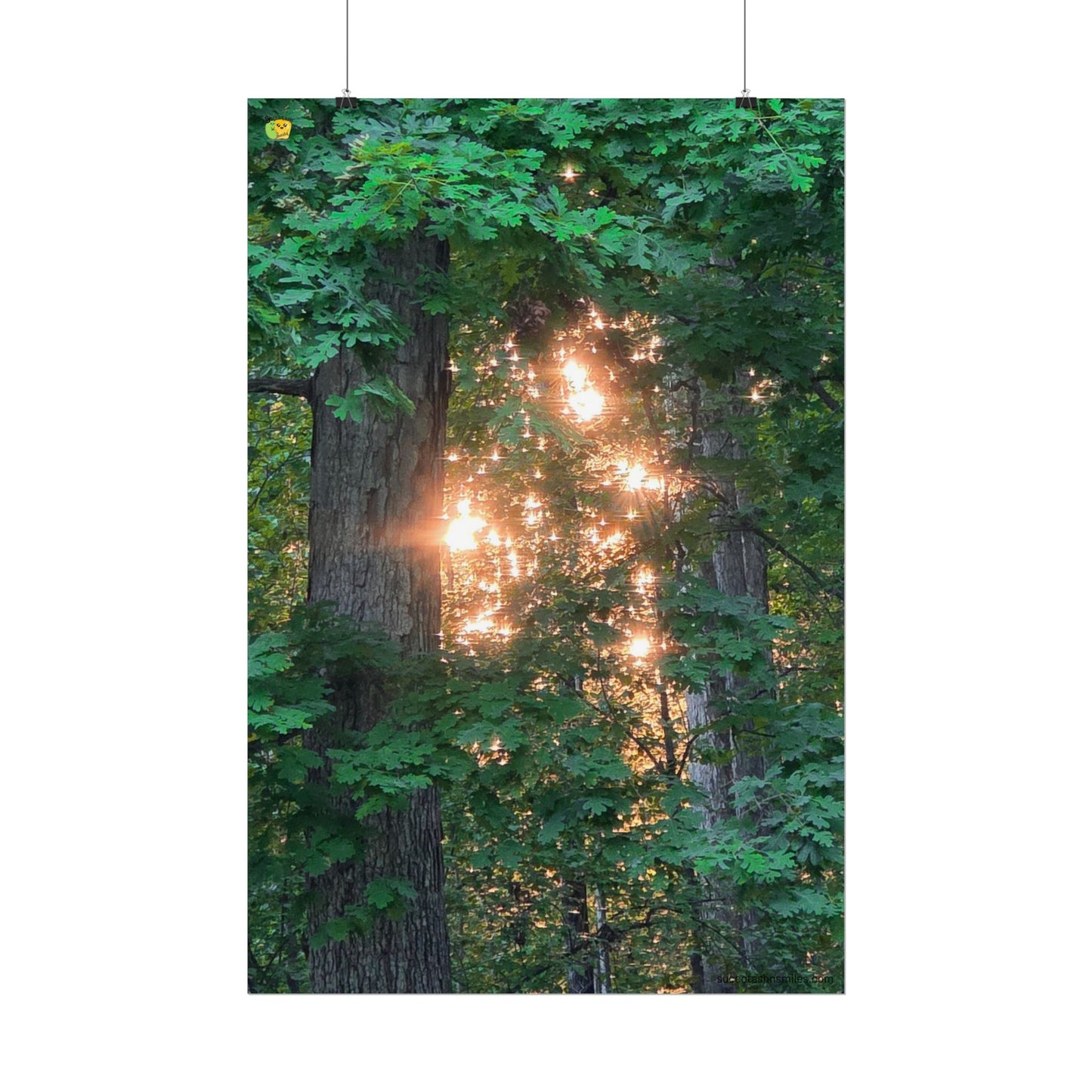 Forest Sunset Glow Poster