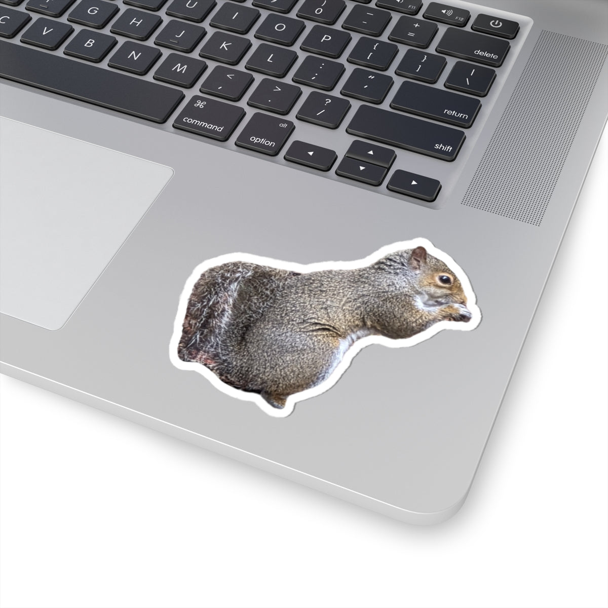 Squirrel Sticker