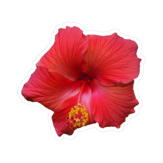 Hibiscus Sticker