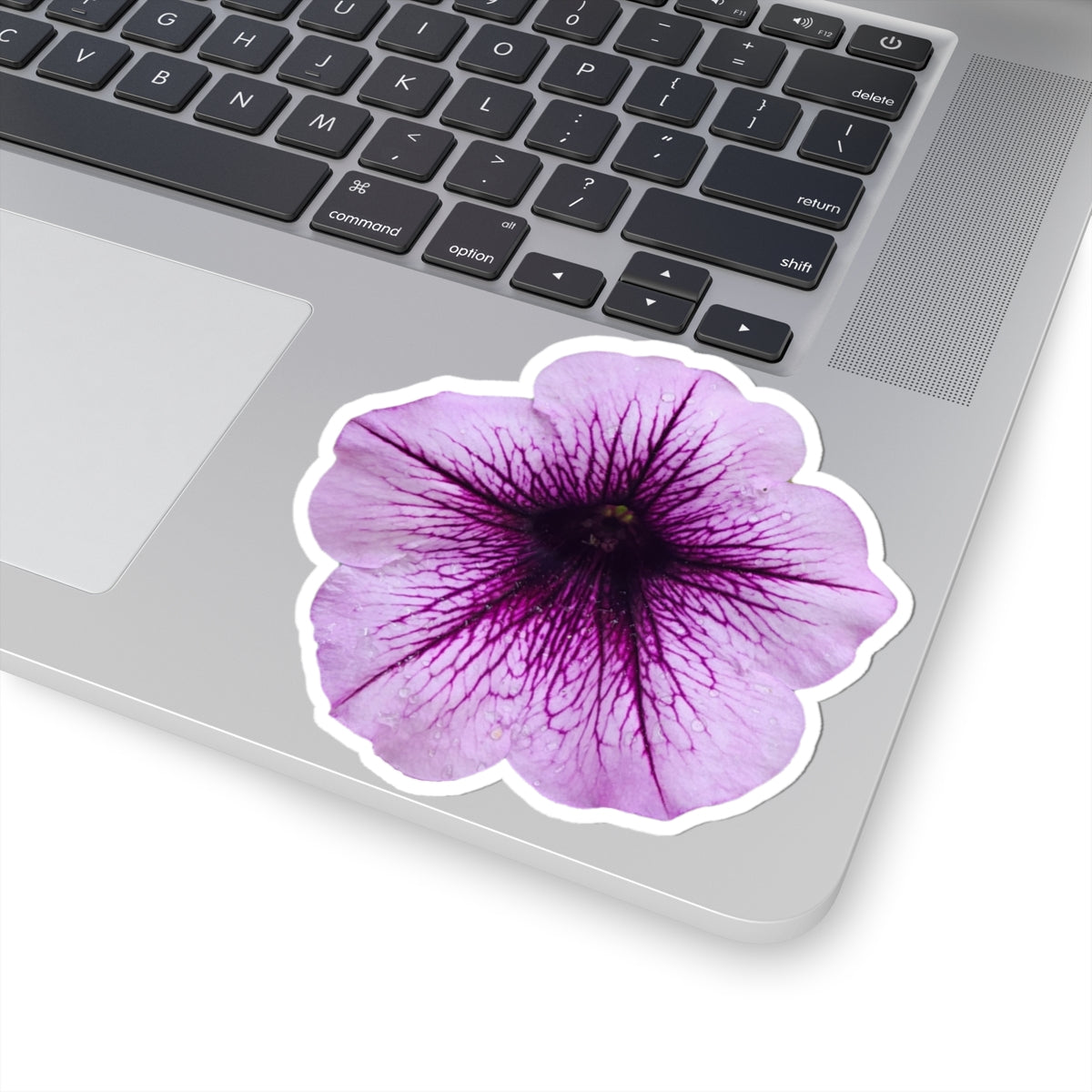 Petunia Sticker