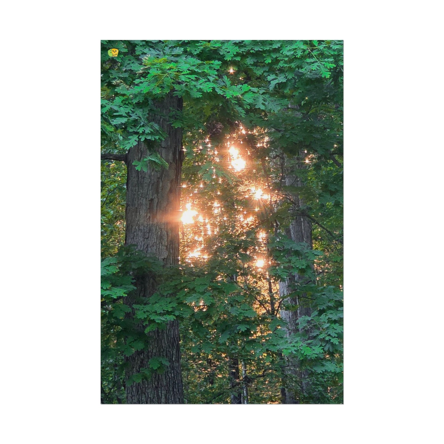Forest Sunset Glow Poster