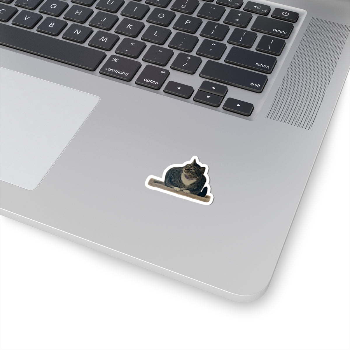 Curious Cat Outline Sticker