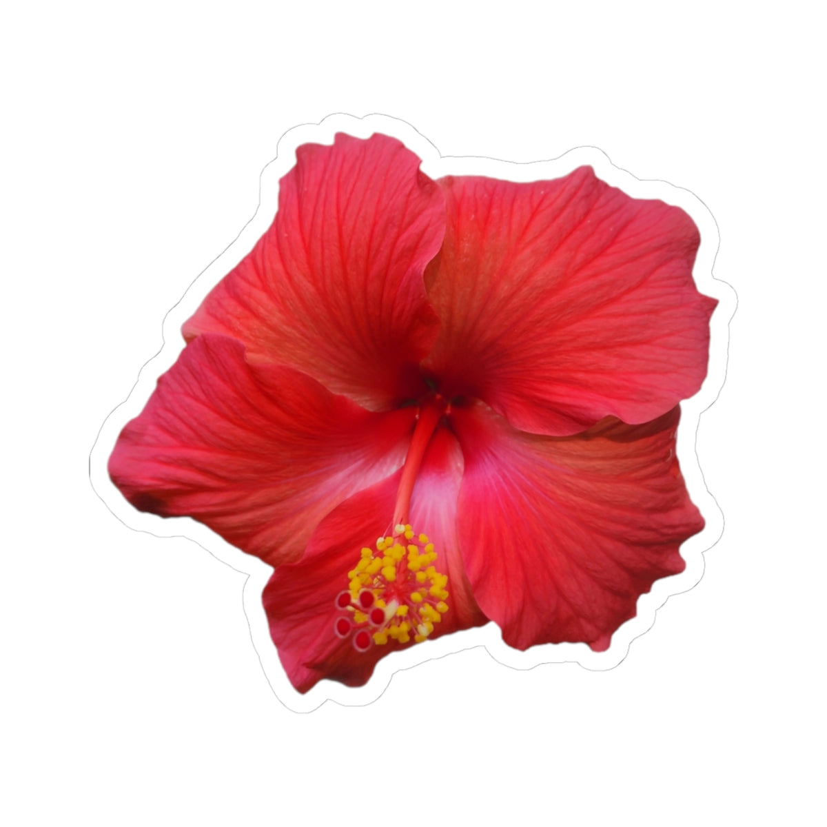 Hibiscus Sticker