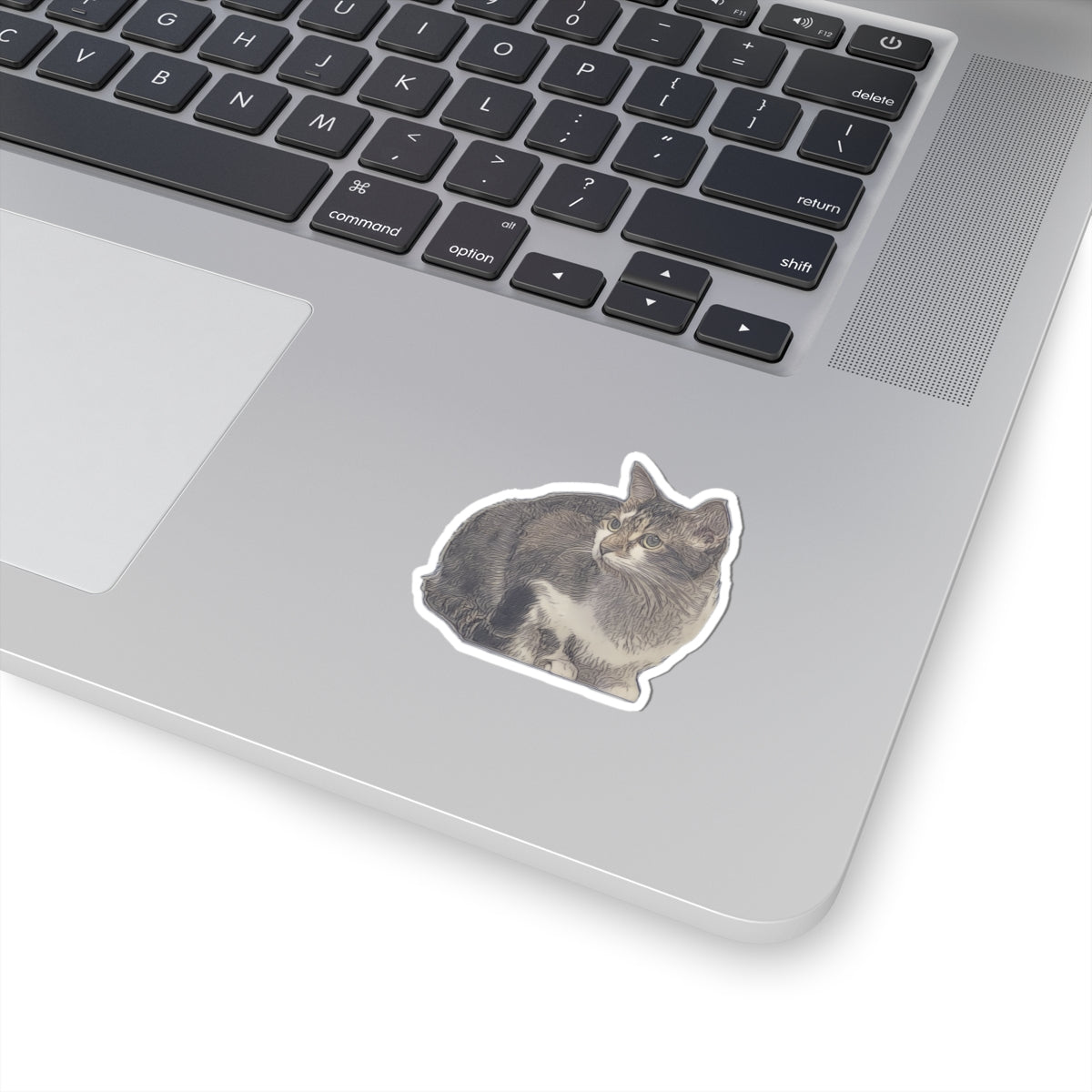 Crouching Cat Sticker