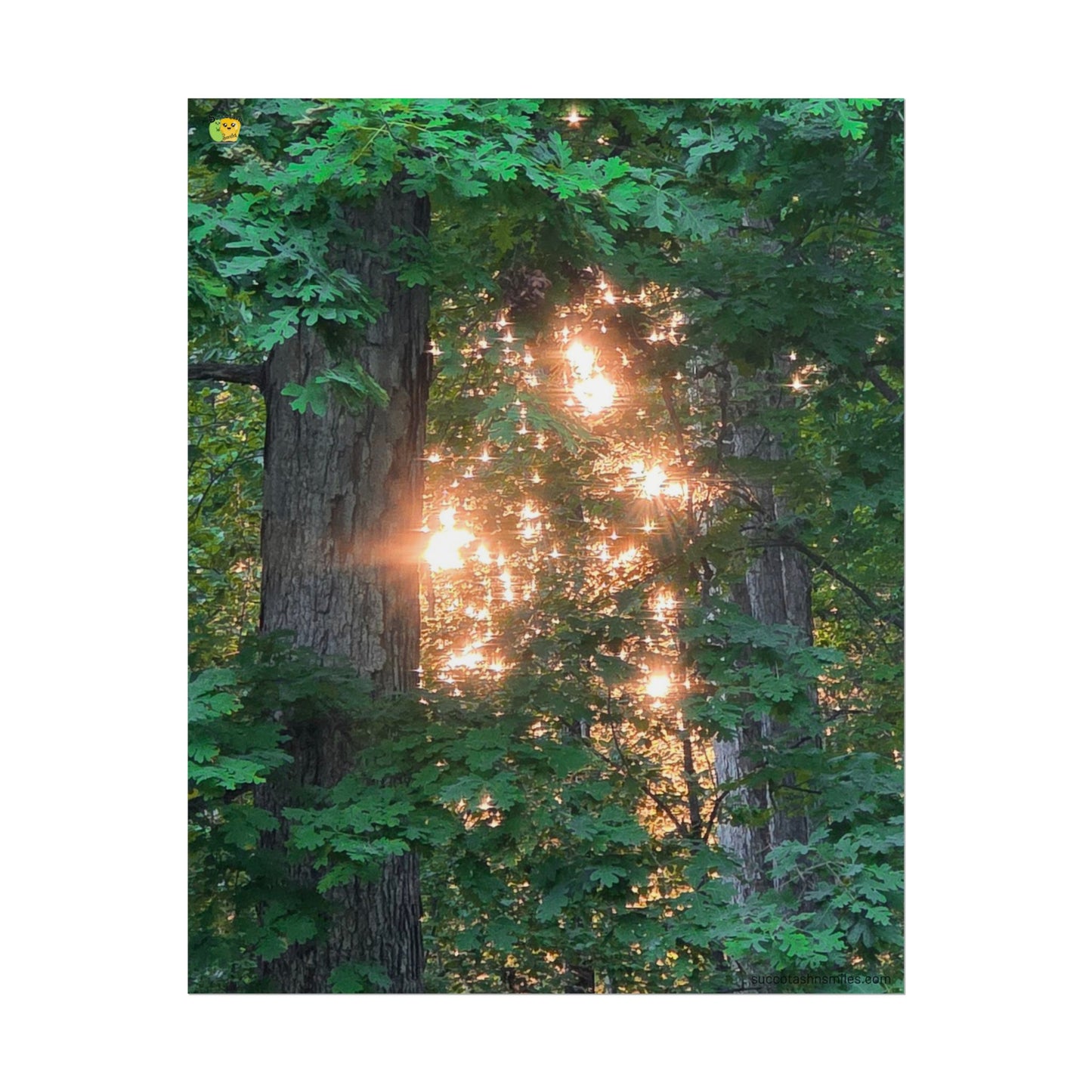 Forest Sunset Glow Poster