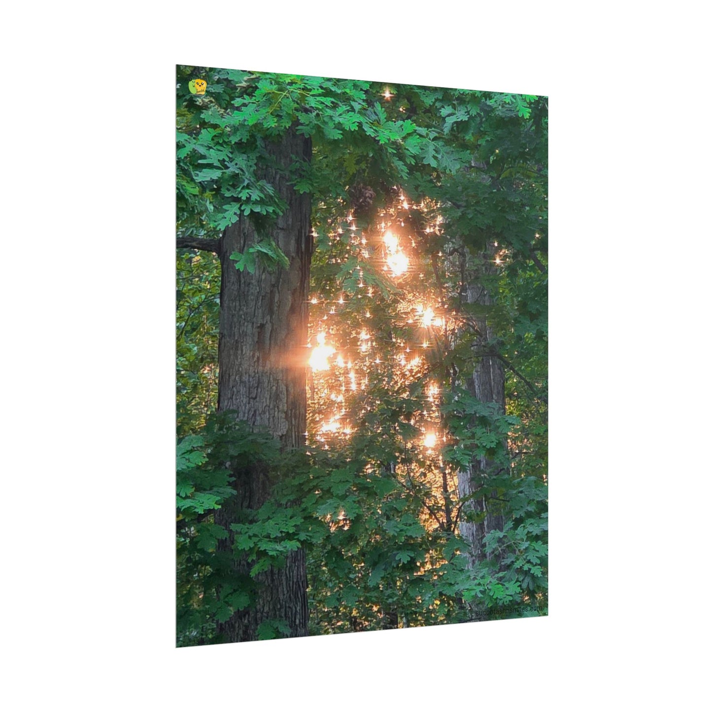 Forest Sunset Glow Poster