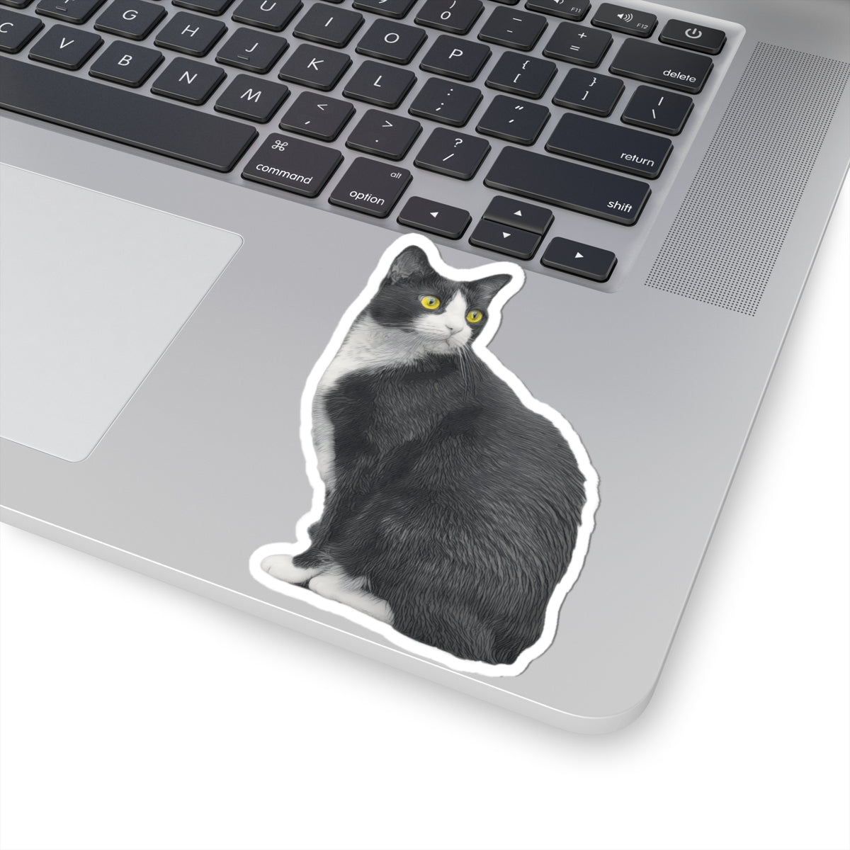 Sitting Tuxedo Cat Sticker