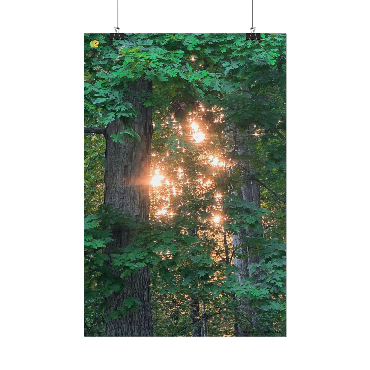 Forest Sunset Glow Poster