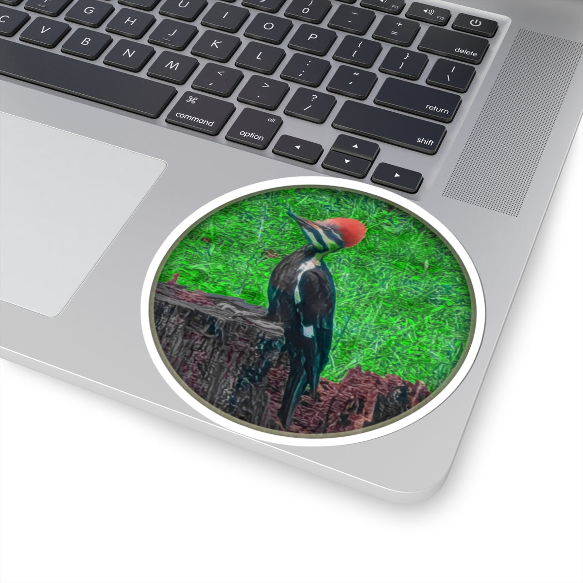 Pileated Woodpecker on Stump Sticker