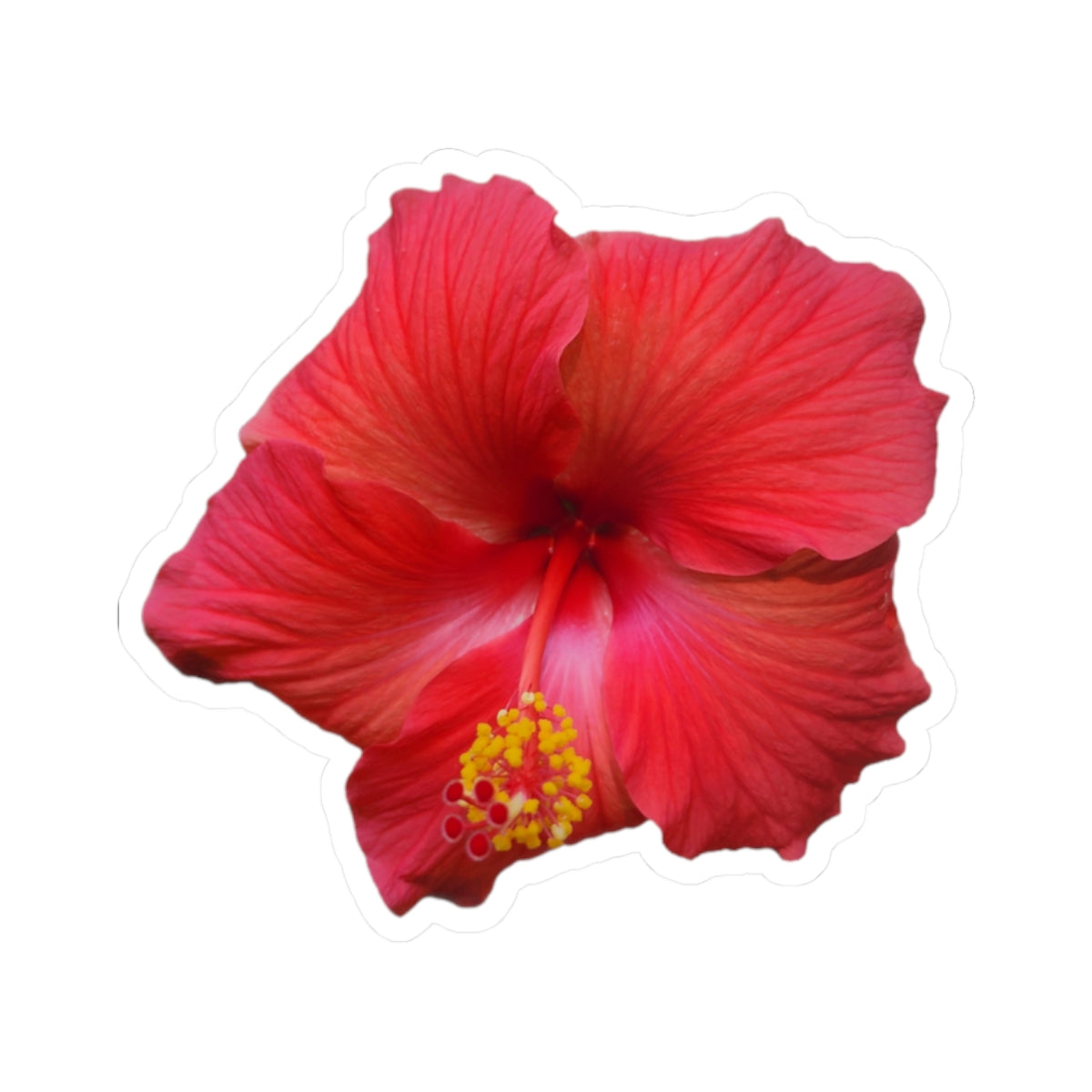 Hibiscus Sticker