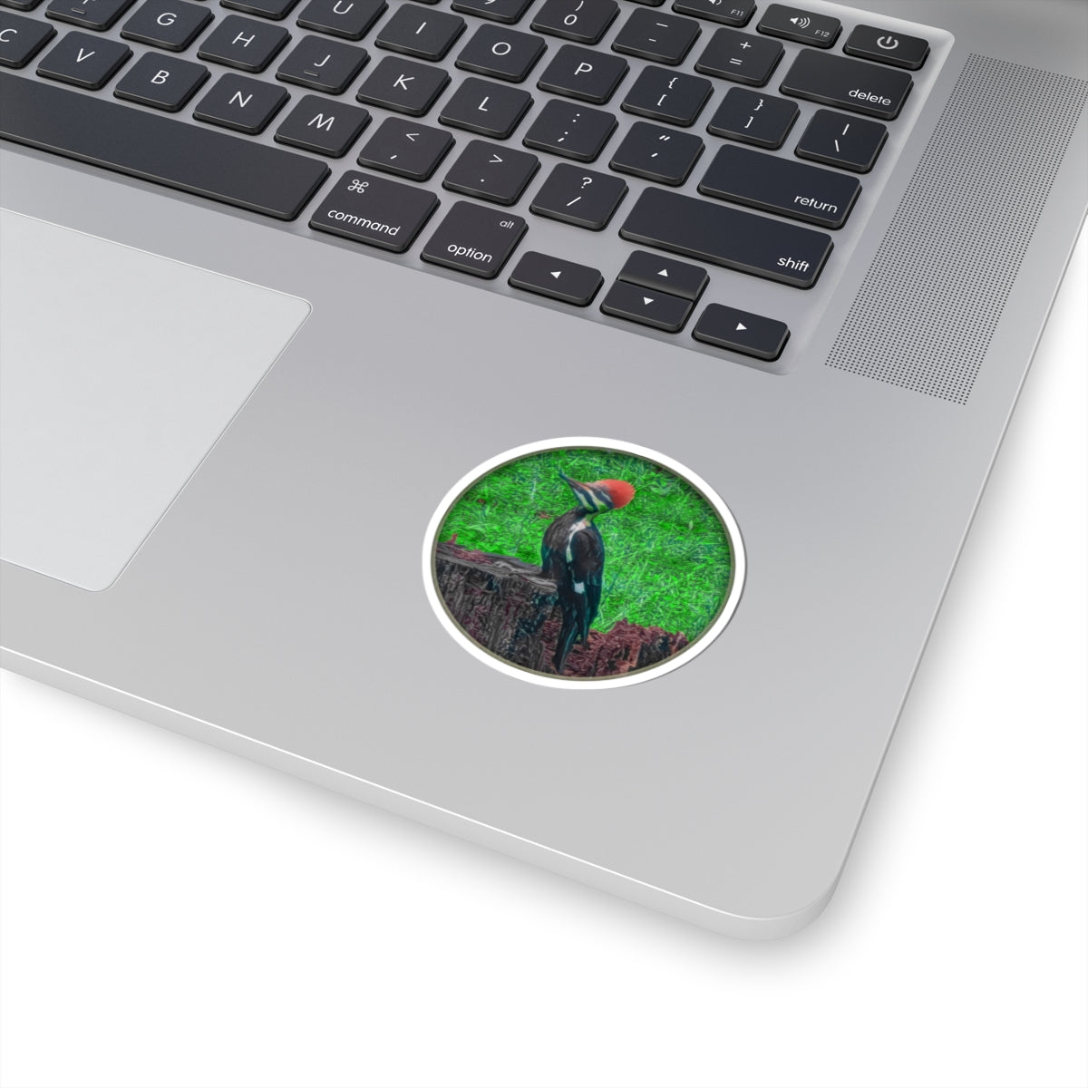 Pileated Woodpecker on Stump Sticker