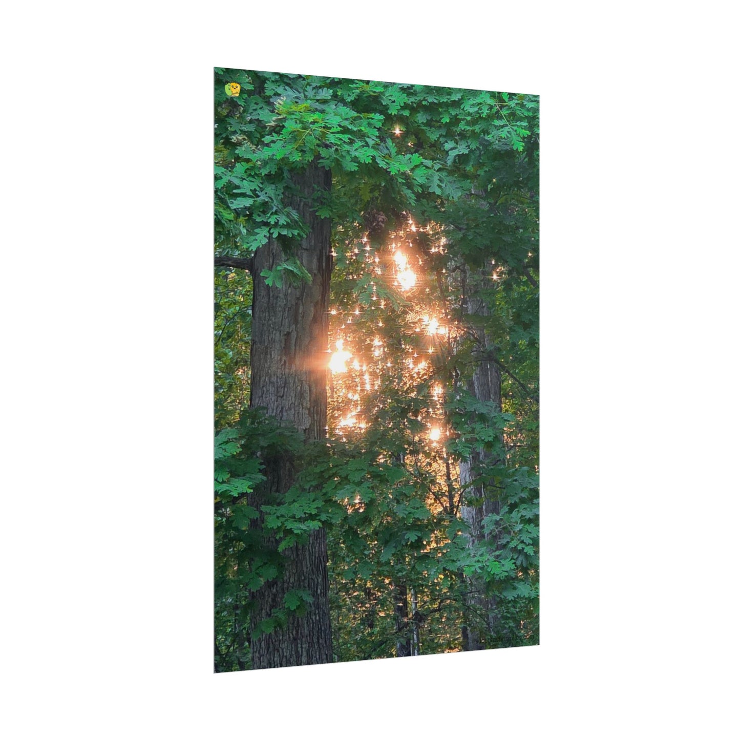 Forest Sunset Glow Poster
