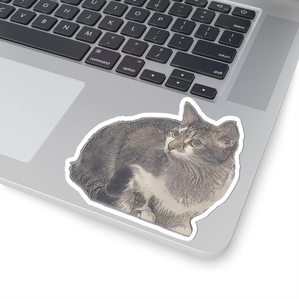 Crouching Cat Sticker