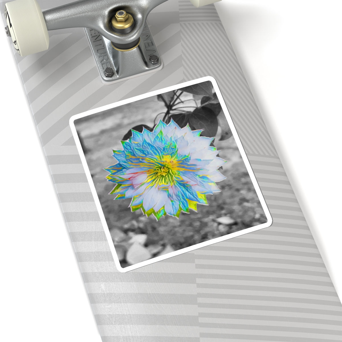 Double Clematis on Black and White Sticker