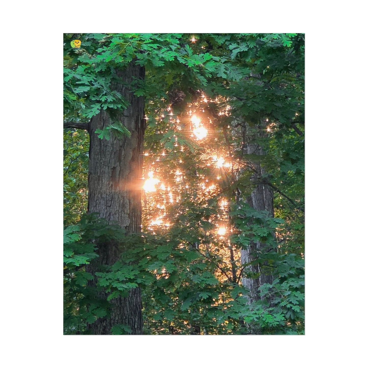 Forest Sunset Glow Poster
