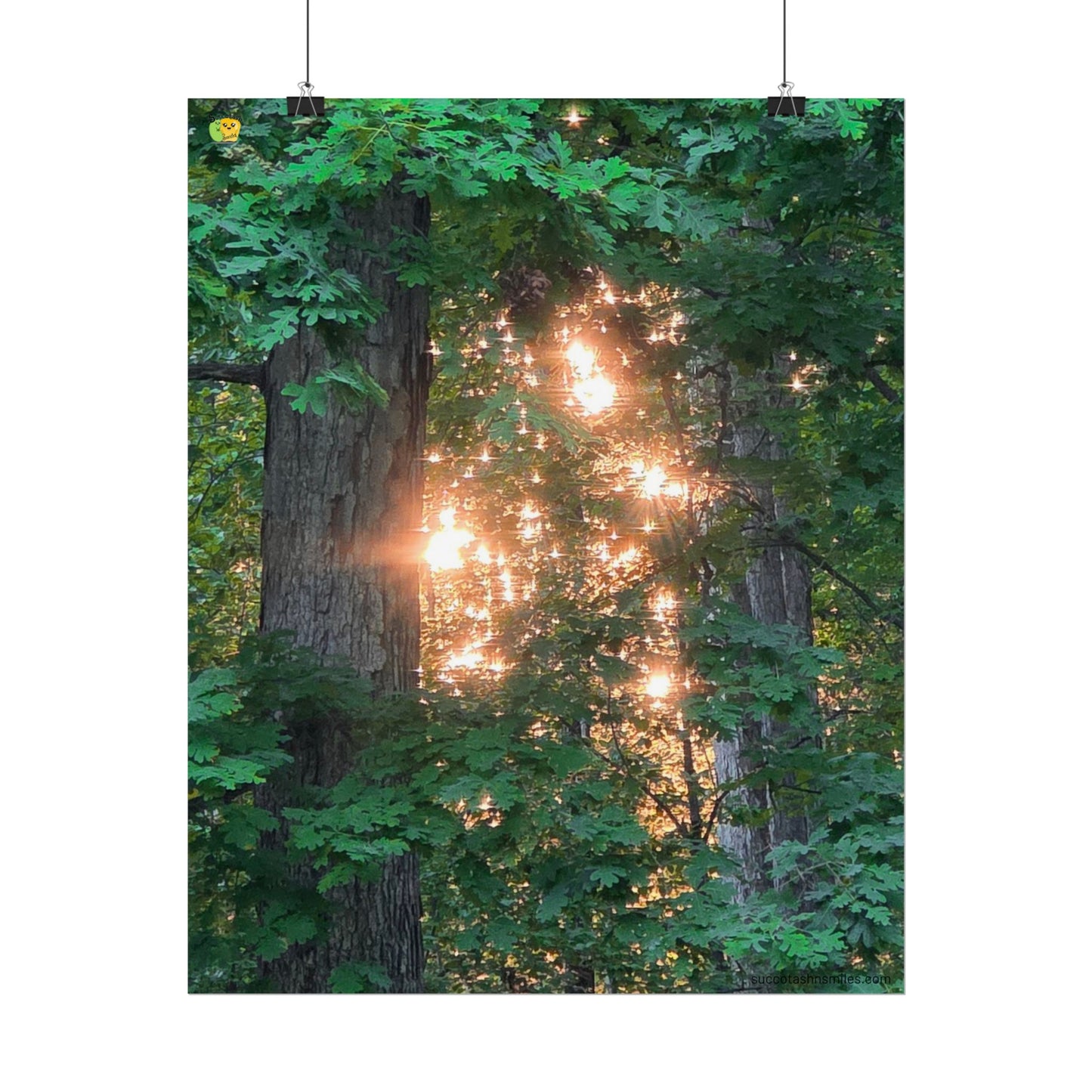 Forest Sunset Glow Poster